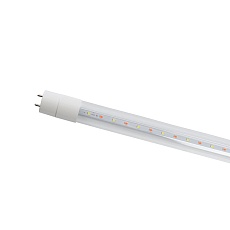 Лампа светодиодная Feron G13 12W прозрачная LB-214 38216 1