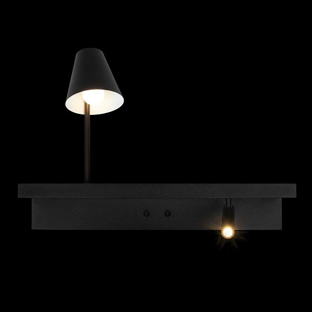 Настенный светильник Loft IT Shelf 10216/2W Black фото 4