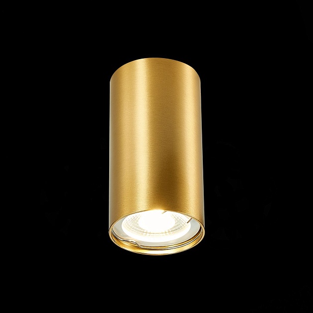 Потолочный светильник ST Luce ST110.207.01 фото 2