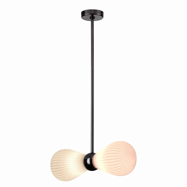 Подвесная люстра Odeon Light Exclusive Elica 5418/2 Фото № 2