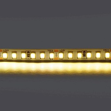 Светодиодная лента Lightstar 16W/m 168LED/m теплый белый 5M 420823 1