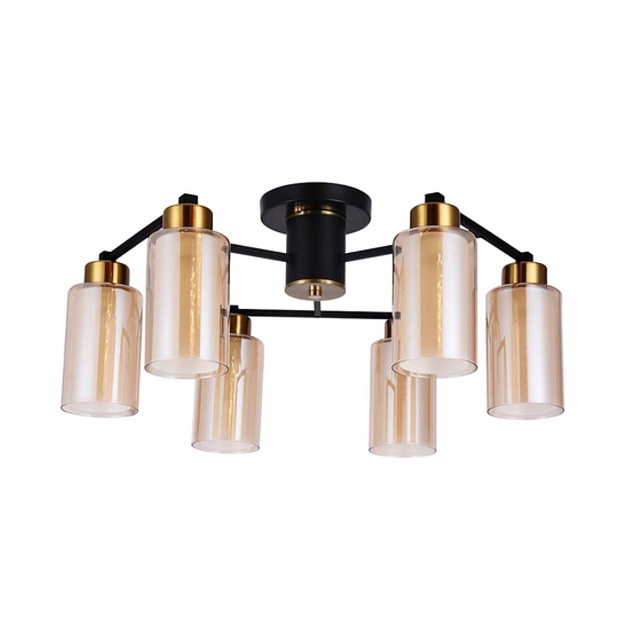 Потолочная люстра Arte Lamp Leo A7027PL-6BK Фото № 1