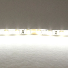 Светодиодная лента Lightstar 12W/m 120LED/m холодный белый 5M 420505 1