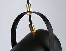 Подвесной светильник Ambrella light Traditional TR8206 1