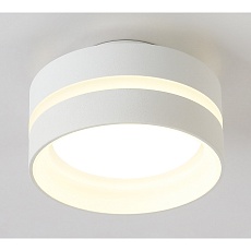 Потолочный светильник Ambrella light TN5419 2