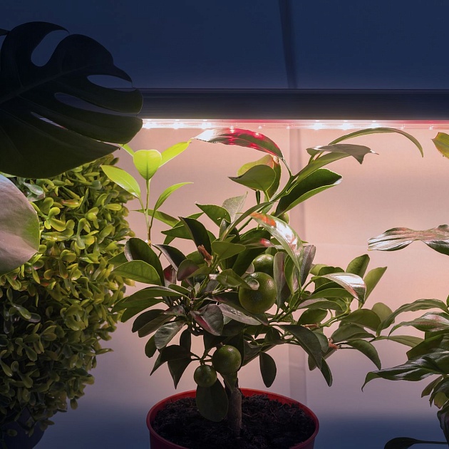 Подвесной светодиодный светильник для растений ЭРА Fito-18W-T5-Ra90 Б0049313 фото 8