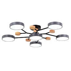 Потолочная светодиодная люстра Evoluce FAEMA SLE6006-702-06 2