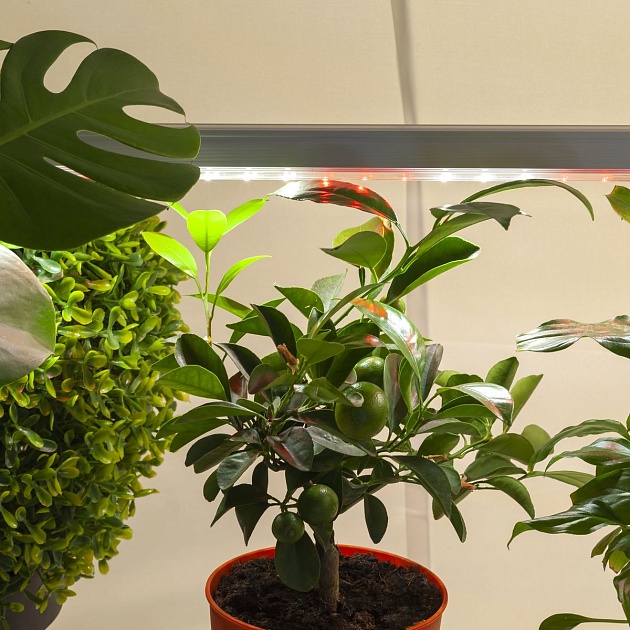Подвесной светодиодный светильник для растений ЭРА Fito-18W-T5-Ra90 Б0049313 фото 7