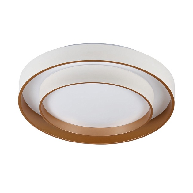 Потолочный светодиодный светильник MyFar Ceiling Rhea MR9161-CL Фото № 9