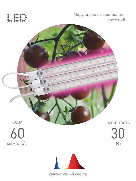 Модульный светодиодный светильник для растений ЭРА Fito-3х10W-Line-RB90 Б0050924 фото 2