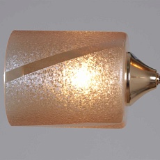 Потолочная люстра Reluce 51460-0.3-02 FG 1