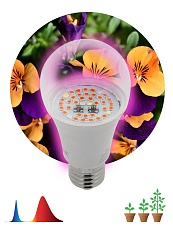 Лампа светодиодная для растений ЭРА E27 12W 1310K прозрачная Fito-12W-RB-E27 Б0050601 1