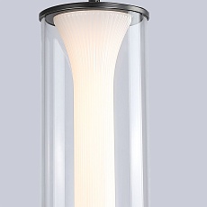 Подвесной светодиодный светильник Favourite Bones 4245-1P 2