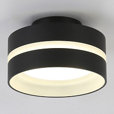 Потолочный светильник Ambrella light TN5421 2