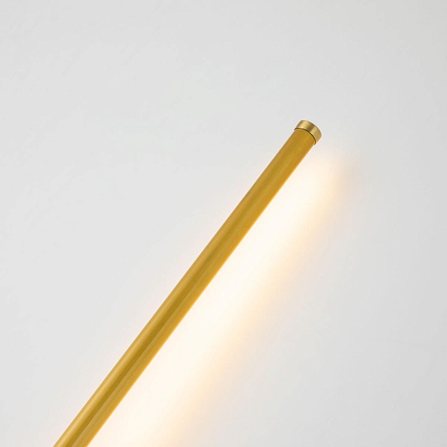 Настенный светодиодный светильник Favourite Reed 3001-3W фото 3