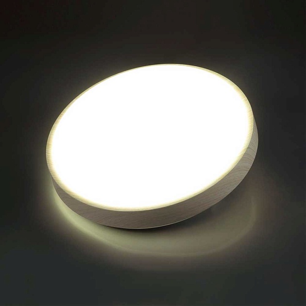 Настенно-потолочный светодиодный светильник Sonex Losta 7628/EL фото 3