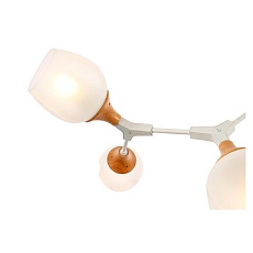Потолочная люстра Evoluce Ciotolla SLE113502-05 2