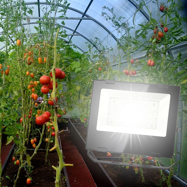 Прожектор светодиодный для растений ЭРА 100W 4000K Fito-100W-Ra90-Led Б0047876 фото 6
