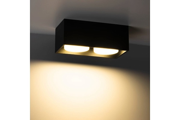 Накладной потолочный светильник Ritter Arton 51404 6 фото 2