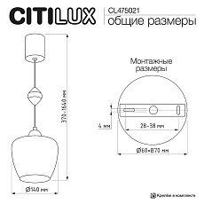Подвесной светильник Citilux Nort CL475021 1