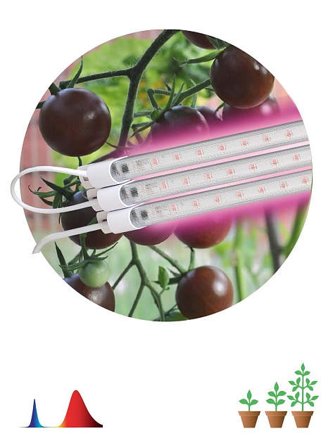 Модульный светодиодный светильник для растений ЭРА Fito-3х10W-Line-RB90 Б0050924 фото 3