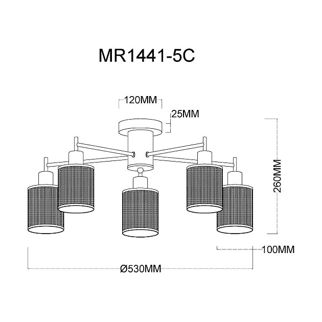 Потолочная люстра MyFar Solo MR1441-5C Фото № 2