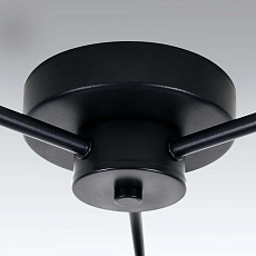 Потолочная люстра Lightstar Fico Ii 740137 3