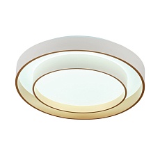 Потолочный светодиодный светильник MyFar Ceiling Rhea MR9161-CL 5