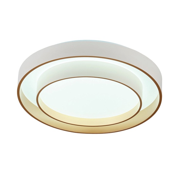 Потолочный светодиодный светильник MyFar Ceiling Rhea MR9161-CL Фото № 6