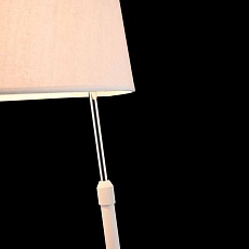Настольная лампа Maytoni Bergamo MOD613TL-01W 4