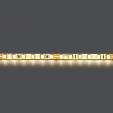 Светодиодная влагозащищенная лента Lightstar 12W/m 120LED/m дневной белый 5M 420554 1