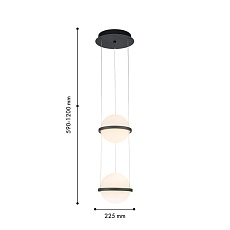 Подвесной светодиодный светильник Favourite Ringar 4502-2P 1