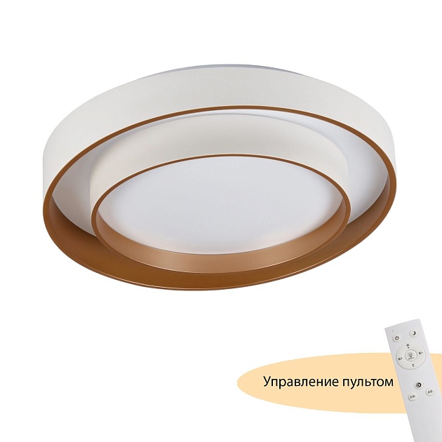 Потолочный светодиодный светильник MyFar Ceiling Rhea MR9161-CL Фото № 10