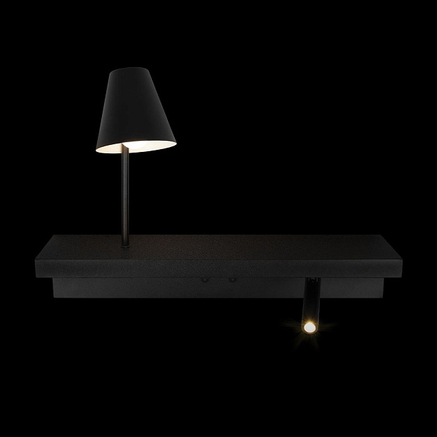 Настенный светильник Loft IT Shelf 10216/2W Black фото 2