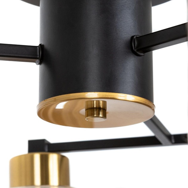 Потолочная люстра Arte Lamp Leo A7027PL-6BK Фото № 2