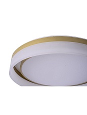 Потолочный светодиодный светильник Zortes Adel ZRS.1200.01 5